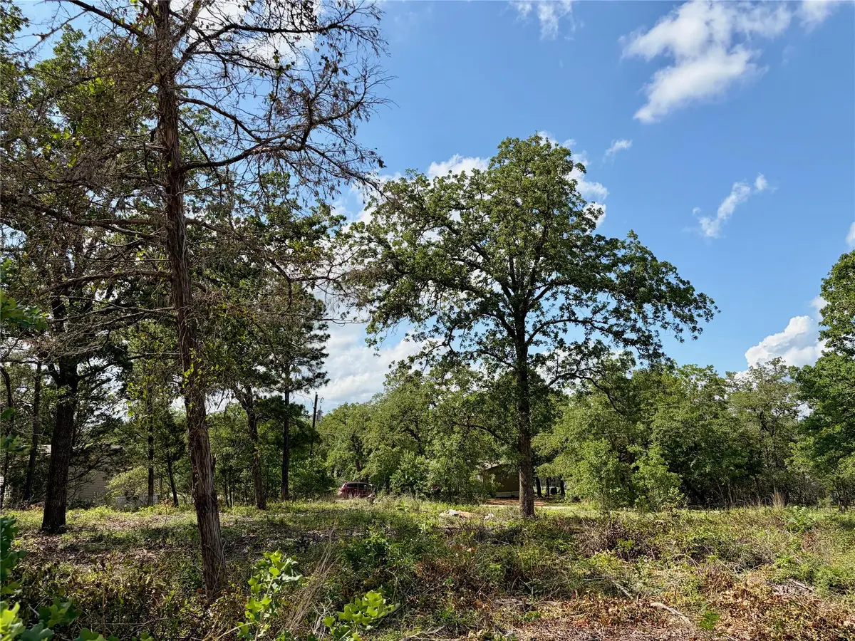 Lots-97/98 Shawnee Dr, Smithville, TX 78957 - #1