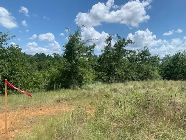 107 & 113 Mccarthy Dr, Bastrop, TX 78602 - #2