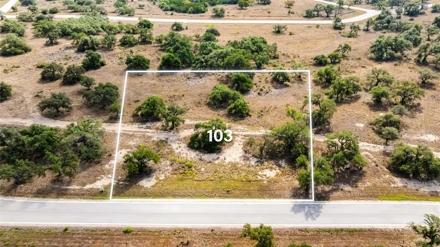 LOT 103 Tuscany Dr, Driftwood, TX 78619 - #3