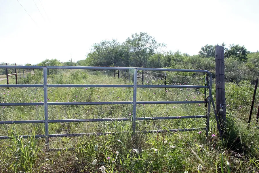 8079 Fm 2001 Highway, Lockhart, TX 78644 - Image #3