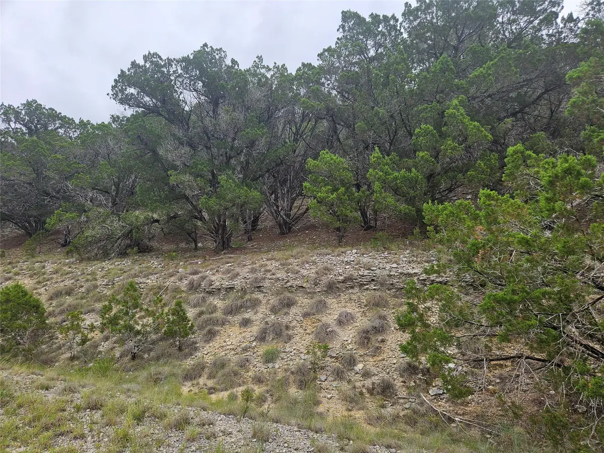 8185 Arroyo Ave, Lago Vista, TX 78645 - #1