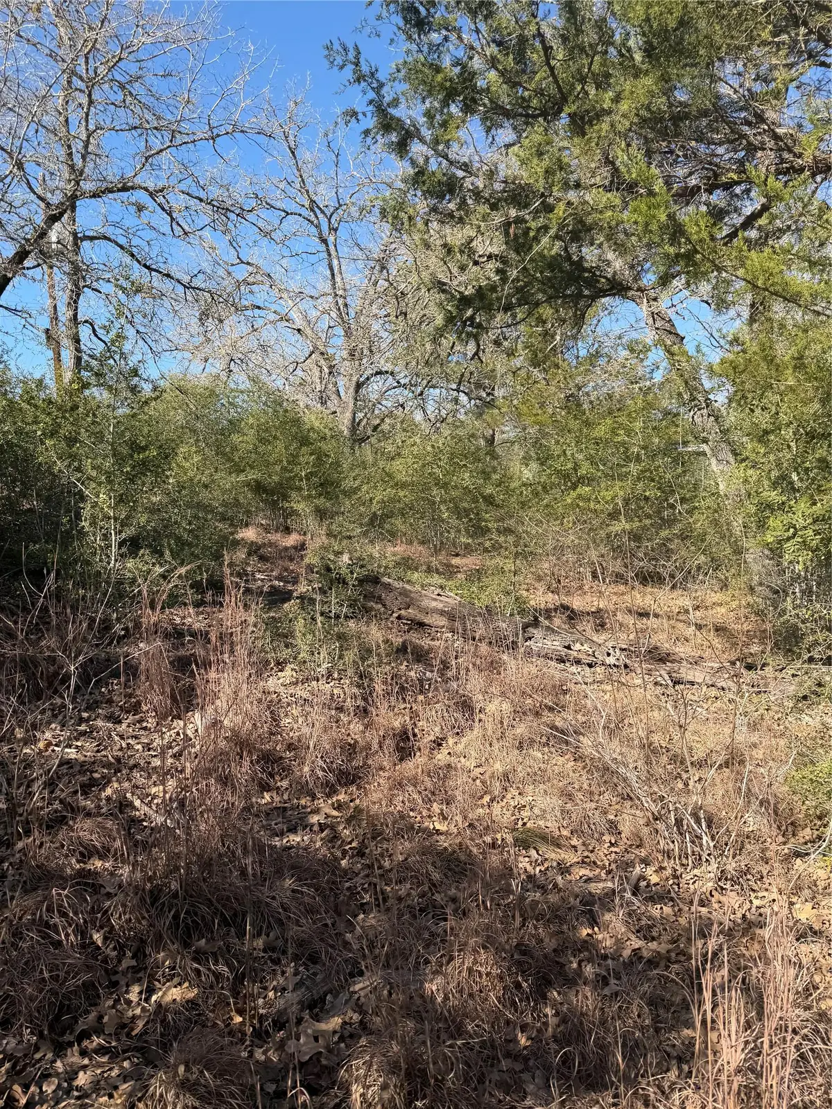 Lot 109 Wailupe Cir, Bastrop, TX 78602 - #1