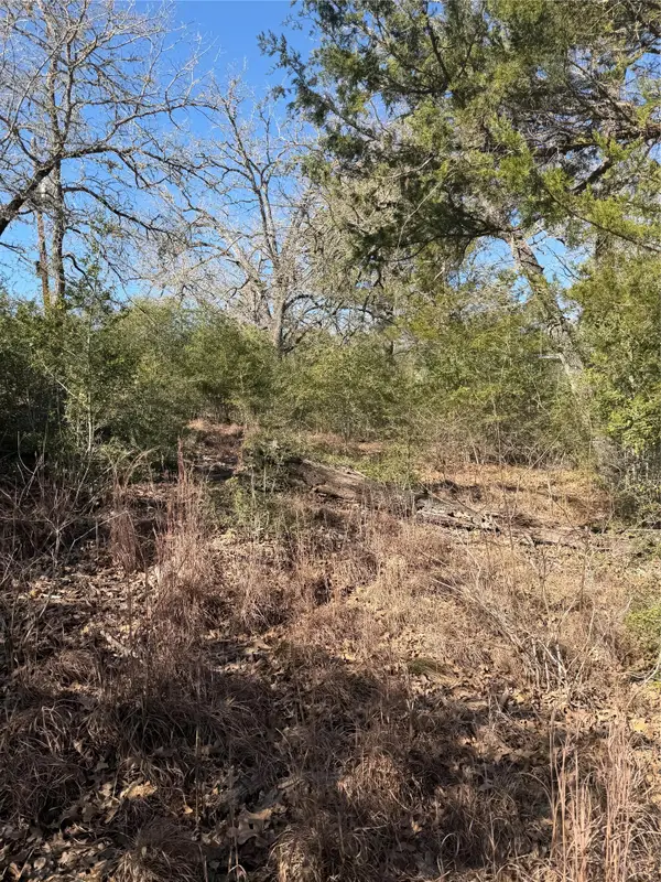 Lot 109 Wailupe Cir, Bastrop, TX 78602