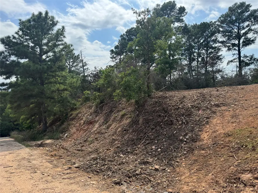 Lots 1263, 1264, 1265 Hanauma Dr, Bastrop, TX 78602 - #2