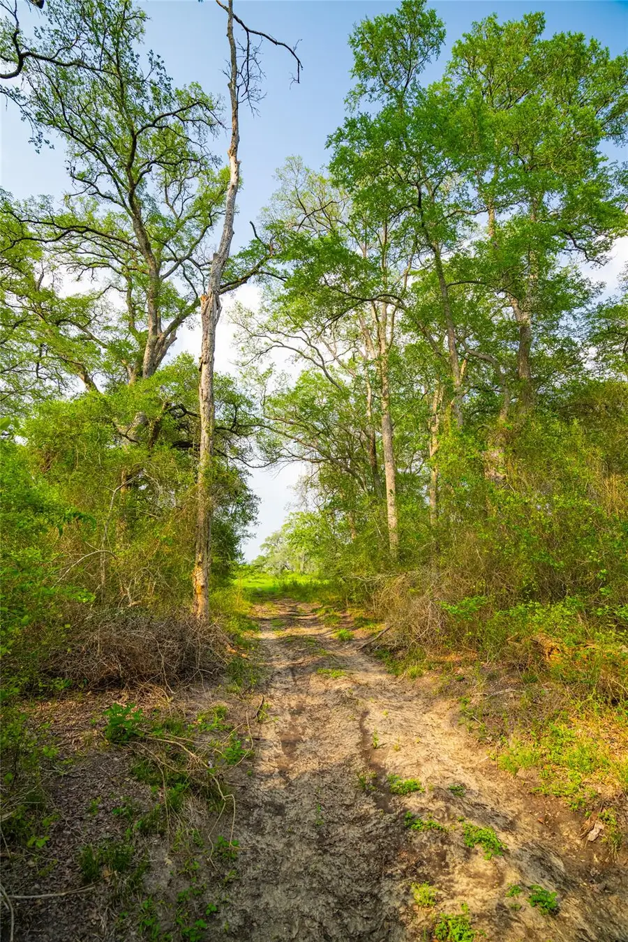 0 County Road 396, Gonzales, TX 78629 - #3