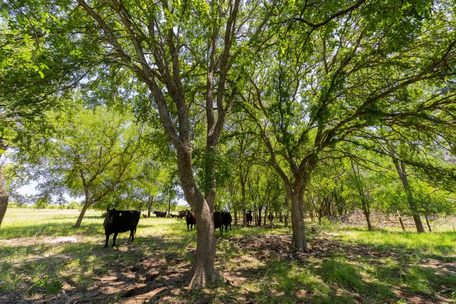 TBD County Road 180 72 Ac Rd, Purmela, TX 76566 - #2