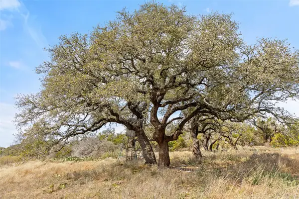 727 Becker Road, Johnson City, TX 78636