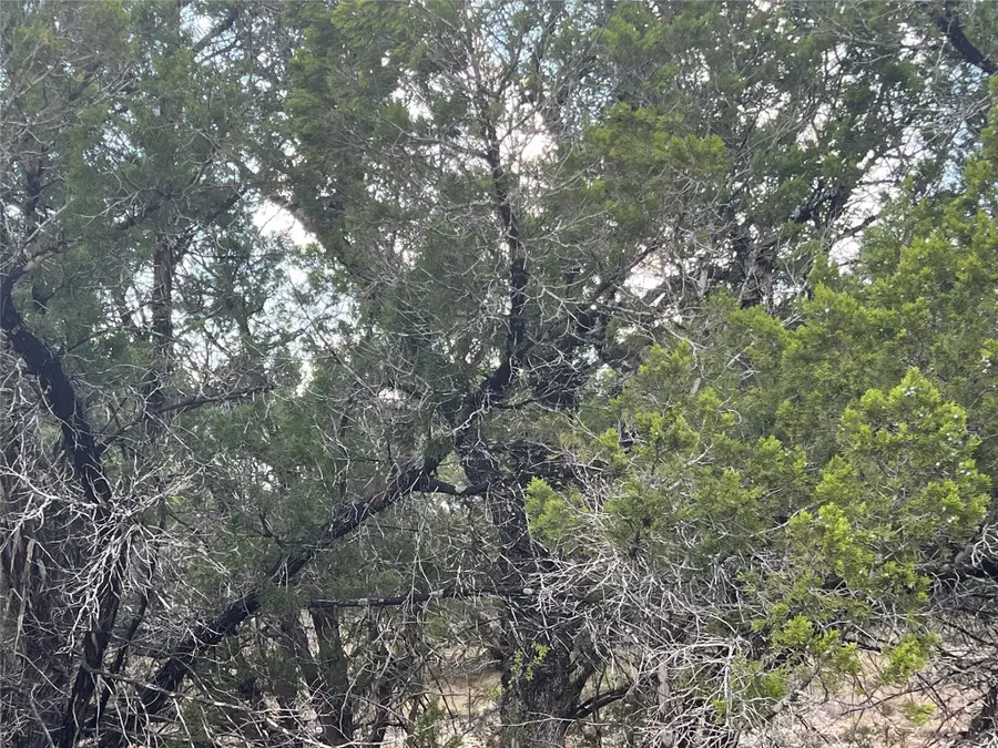 21303 Santa Rosa Ave, Lago Vista, TX 78645 - Image #2