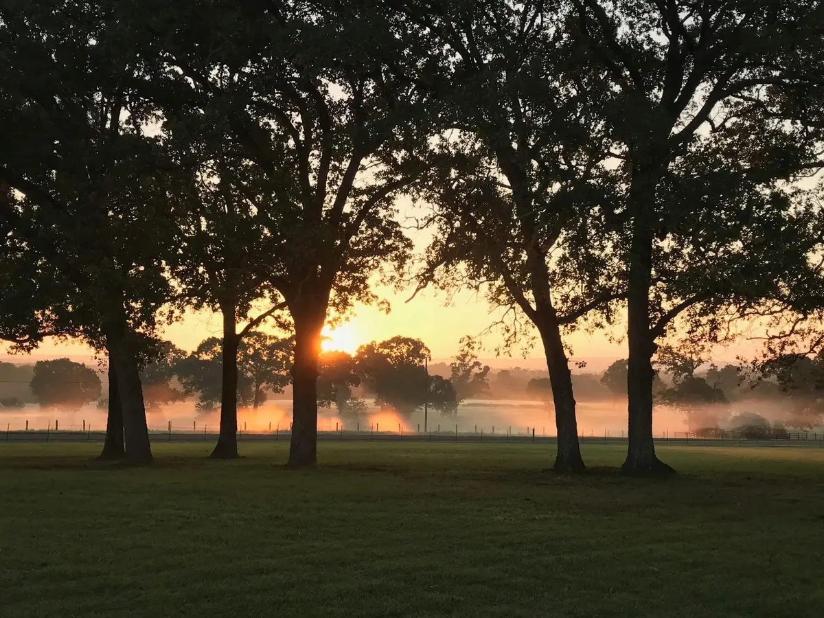 5349 N State Highway 19, Palestine, TX 75803 - Image #1