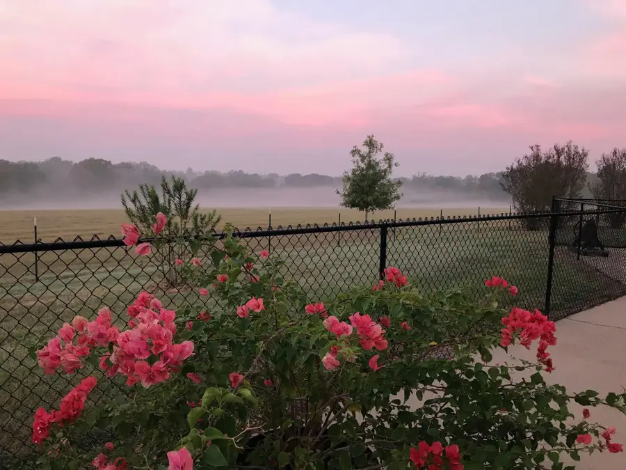 5349 N State Highway 19, Palestine, TX 75803 - Image #3