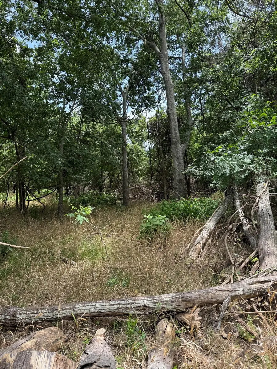 Lot 904 Kahana Ln, Bastrop, TX 78602 - Image #3