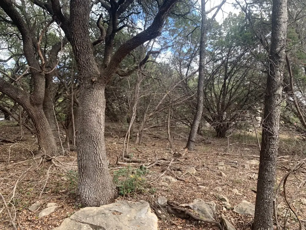 3819 Capitol Ave, Lago Vista, TX 78645 - Image #1