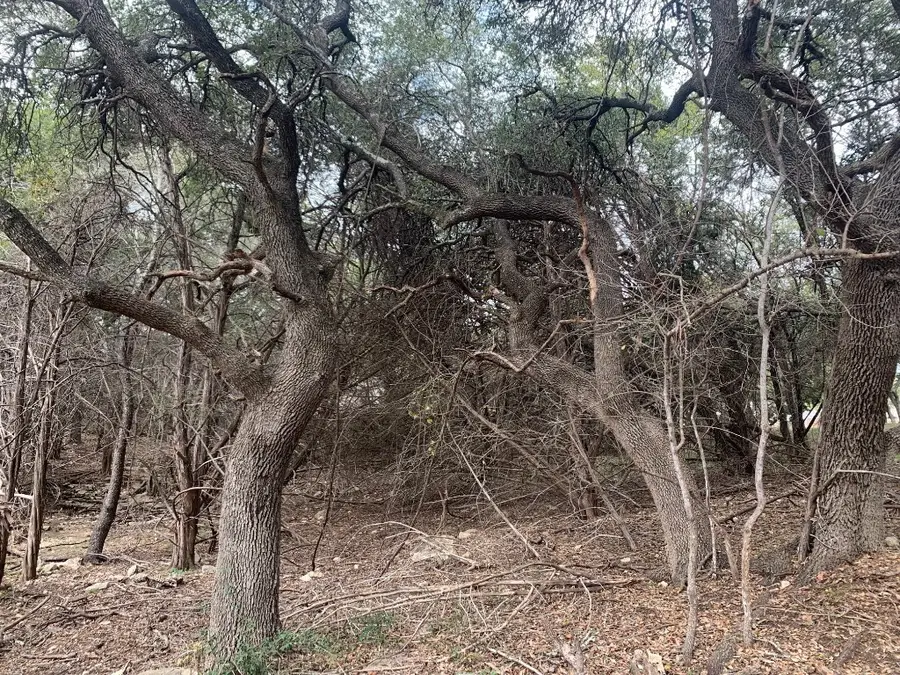 3819 Capitol Ave, Lago Vista, TX 78645 - Image #2