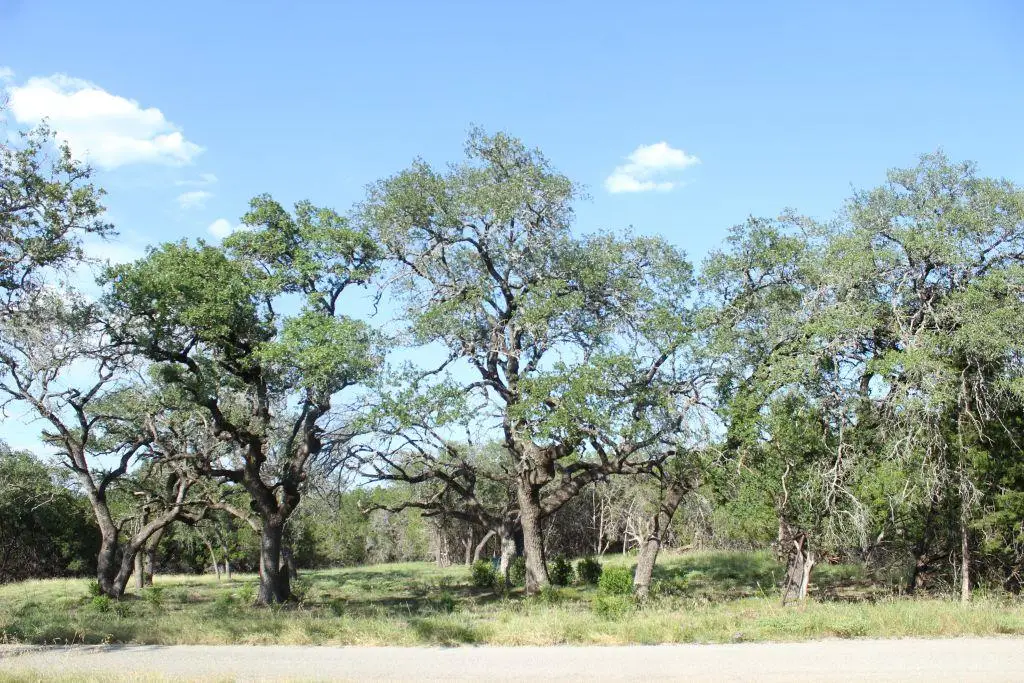 Lots 56-57 Travis Oaks Dr, Marble Falls, TX 78654 - #1