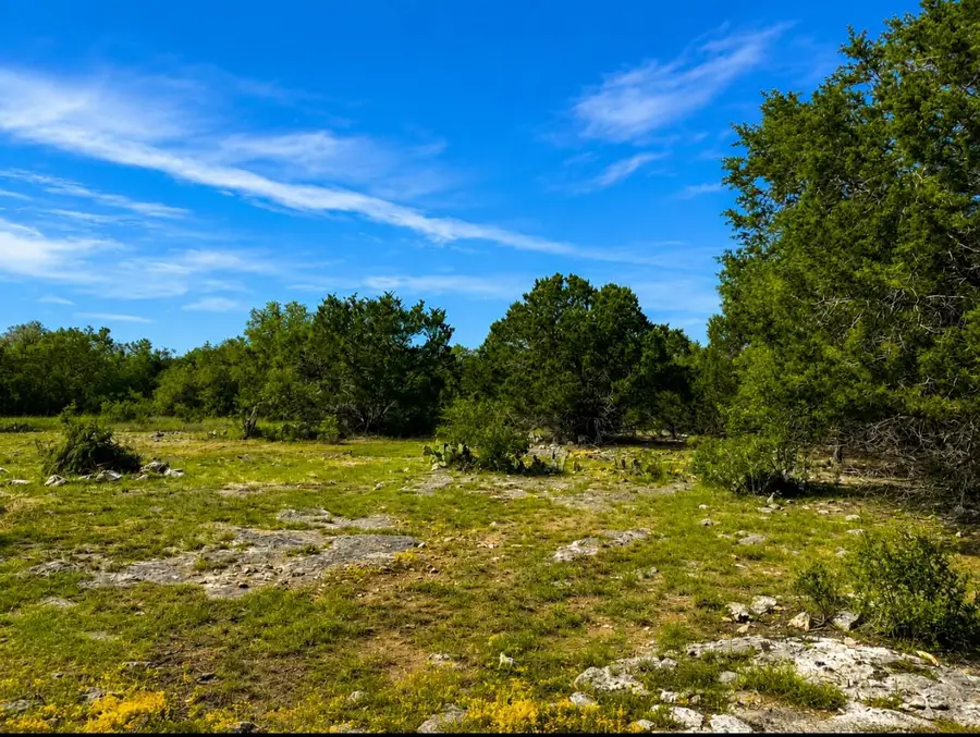 300 Live Oak Hills Ct, San Marcos, TX 78666 - #3