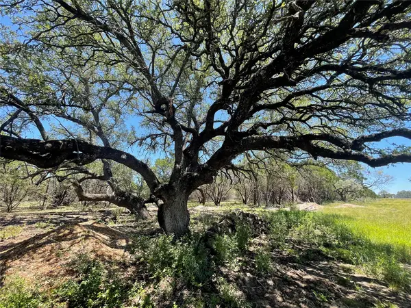 Lot 65 Estate View Circle, Lampasas, TX 76550