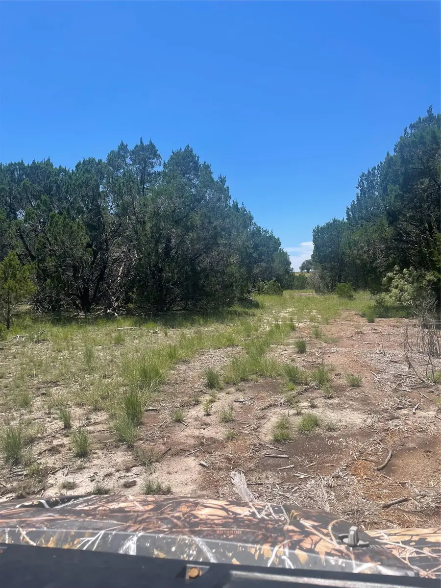 Lot 65 Estate View Circle, Lampasas, TX 76550 - Image #3