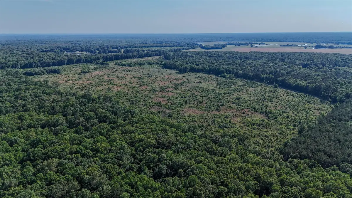 CR 4621 County Road 4621, Annona Avery, TX 75550 - #1