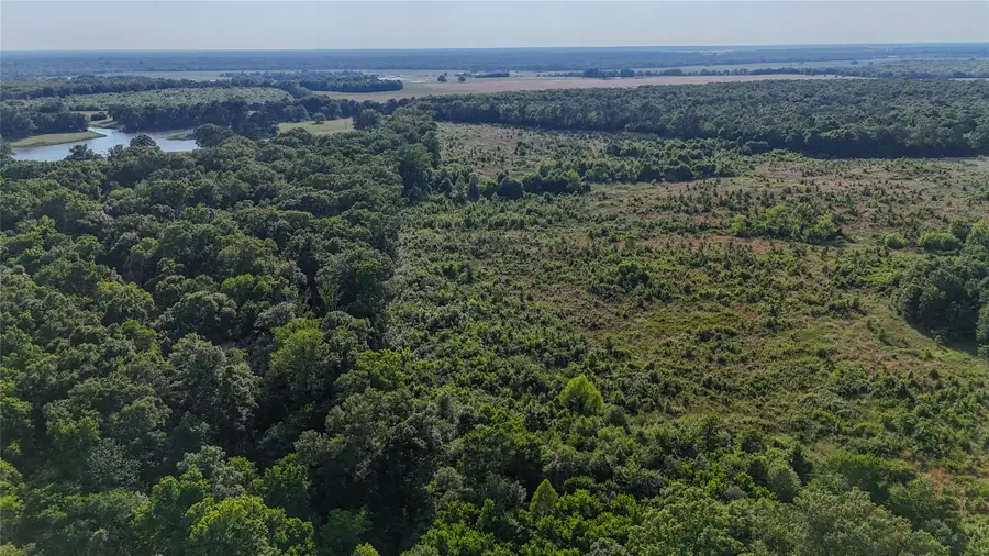 CR 4621 County Road 4621, Annona Avery, TX 75550 - #3