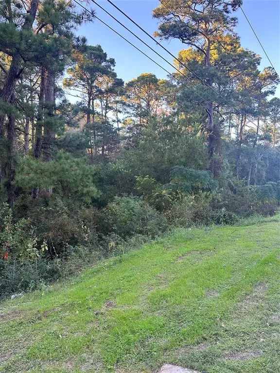 TBD Tahitian Dr, Bastrop, TX 78602 - Image #2