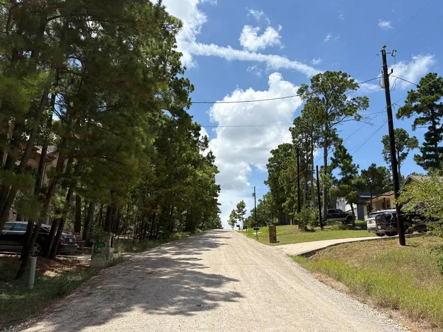 120 Molokini Dr, Bastrop, TX 78602 - #3