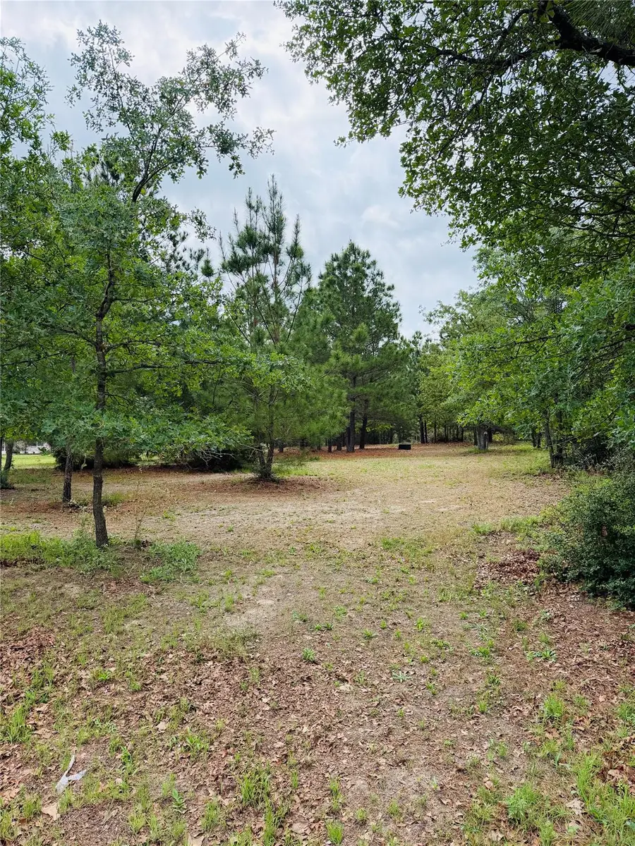 TBD Buckhorn Dr, Bastrop, TX 78602 - #3