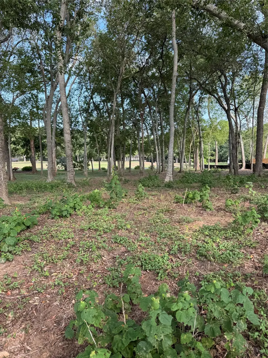 736 E Riverside Dr, Bastrop, TX 78602 - Image #3