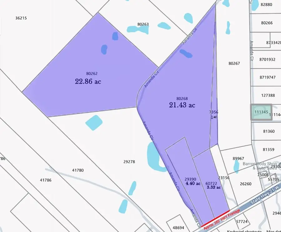 TBD St Hwy 21 W, Cedar Creek, TX 78612 - Image #2