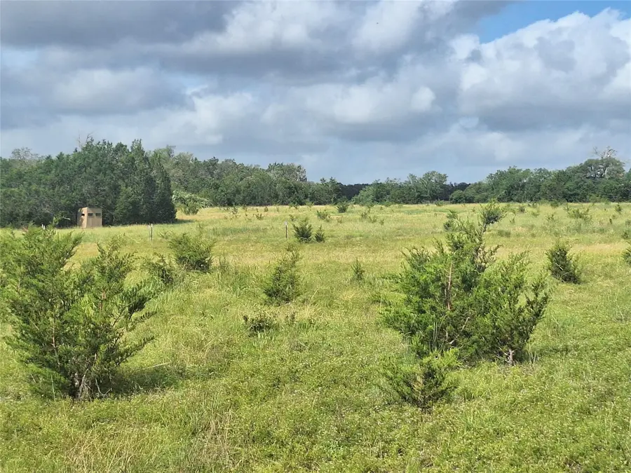 1495 County Road 281 Rd, Leander, TX 78641 - #3