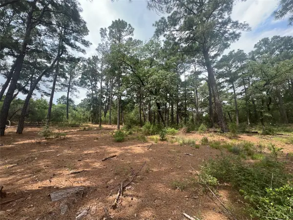 Lot 91 N. Hill Ridge Rd, Bastrop, TX 78602