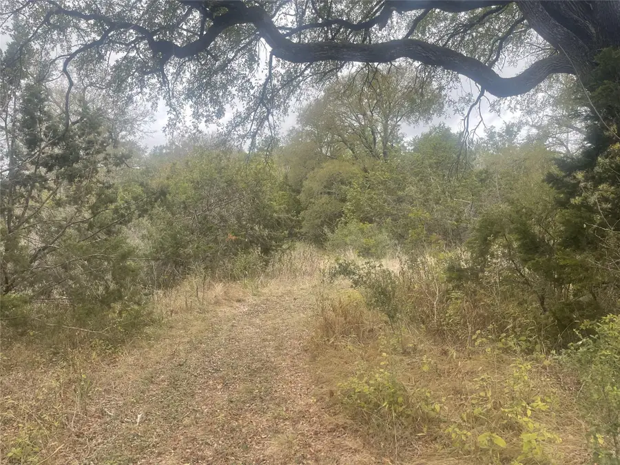 2171 - 2151 Onion Creek Bnd, Driftwood, TX 78619 - Image #3