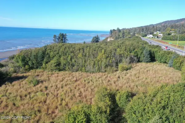 1129 Sterling Highway, Homer, AK 99603