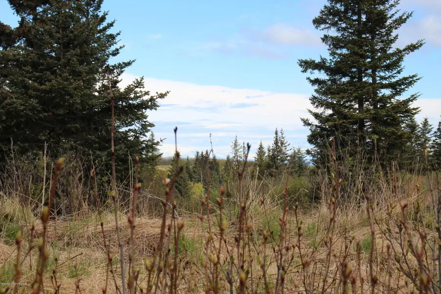 17244 Hyila Lane, Ninilchik, AK 99639 - Image #2