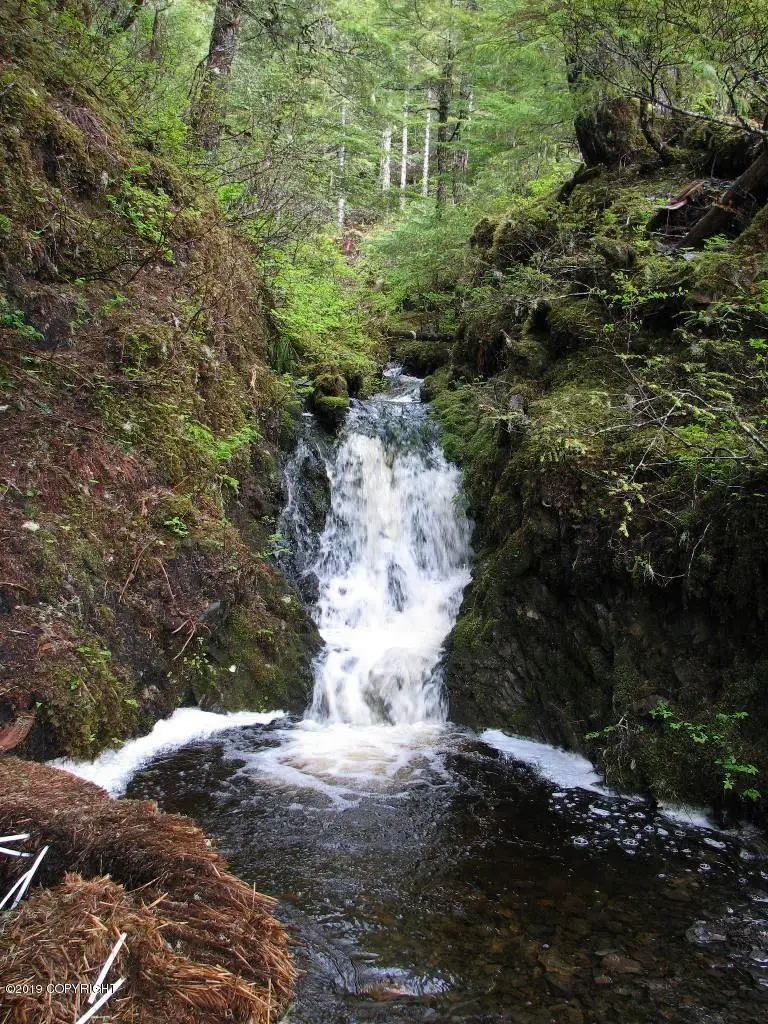 101 Cabin Ridge Road, Cordova, AK 99574 - Image #1