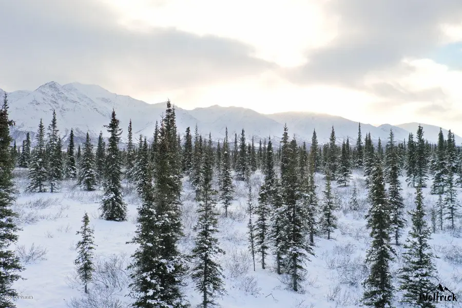 B1-L4 Denali Jack River Canyon, Cantwell, AK 99729 - Image #3