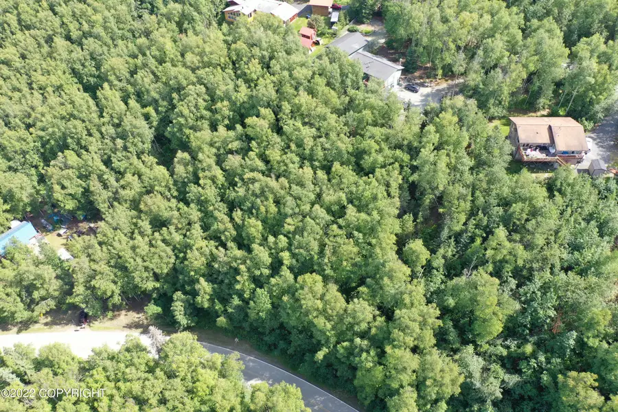 L1 B2 Scimitar Subdivision #1, Chugiak, AK 99567 - Image #2