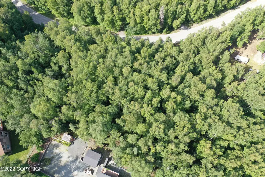 L1 B2 Scimitar Subdivision #1, Chugiak, AK 99567 - Image #3