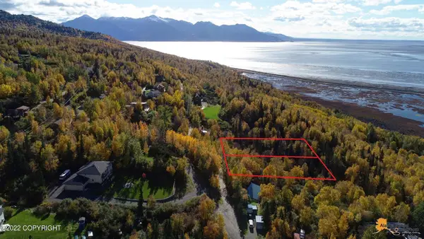 L10 Feodosia Drive, Anchorage, AK 99516