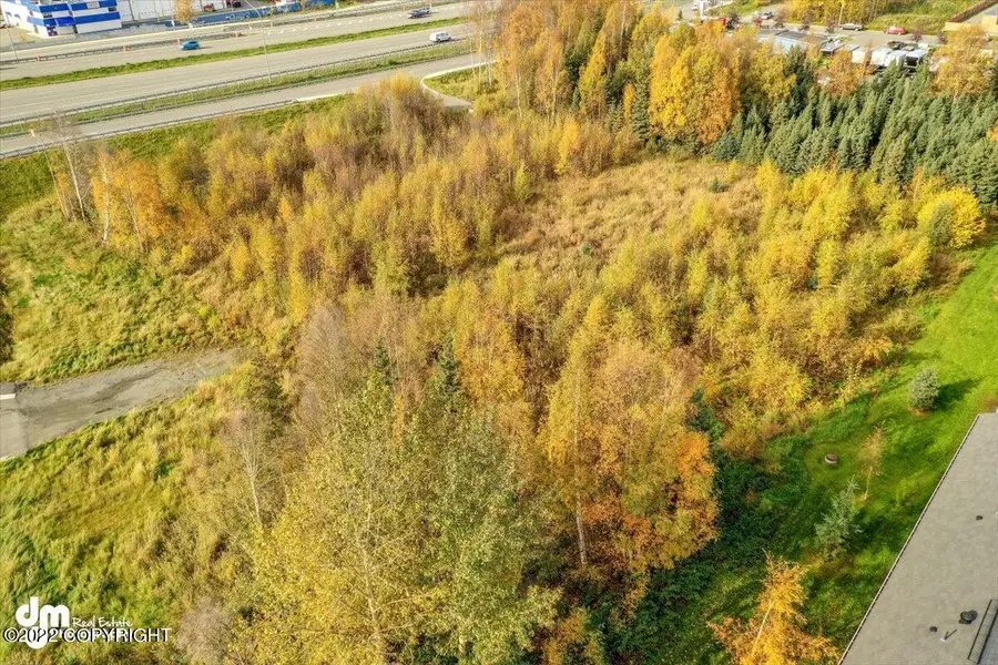 7200 Meadow Street, Anchorage, AK 99507 - #2