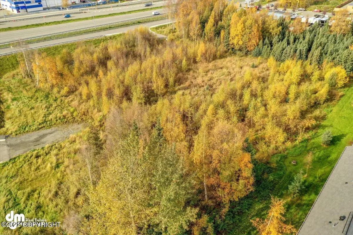 7210 Meadow Street, Anchorage, AK 99507 - #1