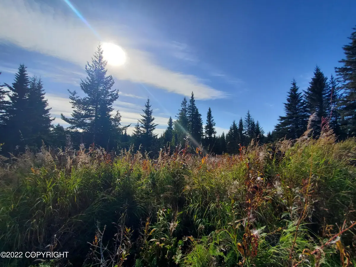 67717 Shavila Road, Ninilchik, AK 99639 - #1