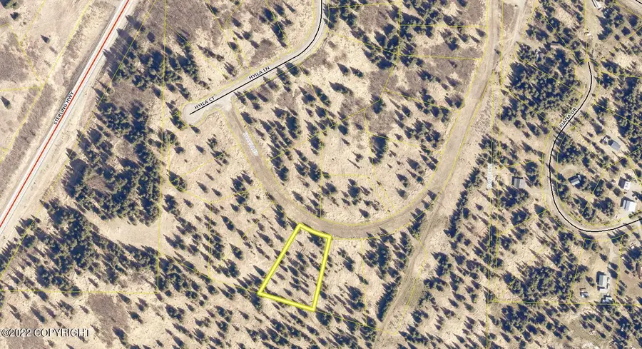 67717 Shavila Road, Ninilchik, AK 99639 - #3