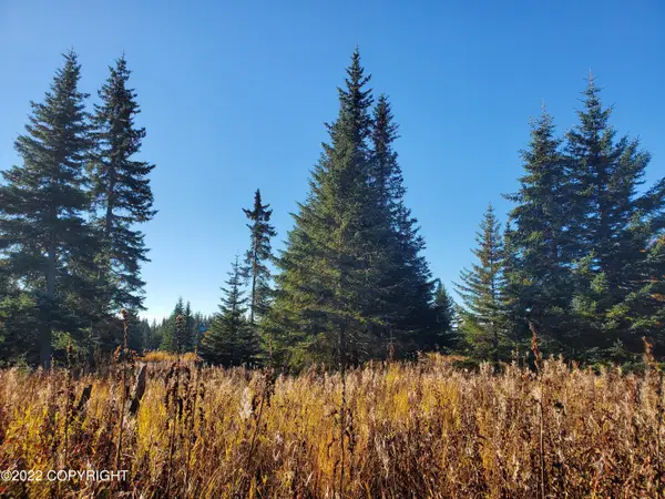 67698 Shavila Road, Ninilchik, AK 99639