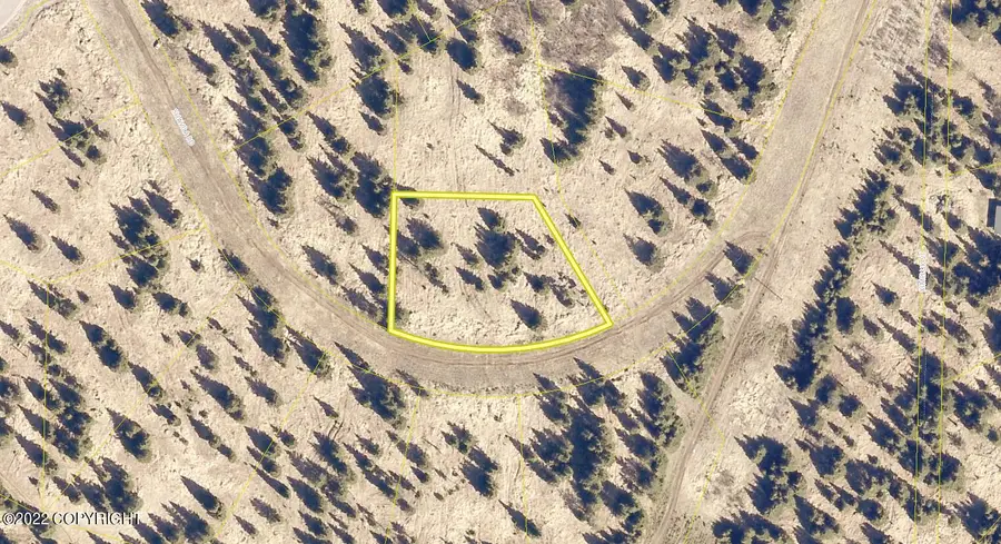 67658 Shavila Road, Ninilchik, AK 99639 - #3