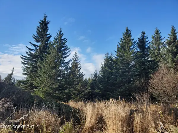 17309 Kimeluk Street, Ninilchik, AK 99639