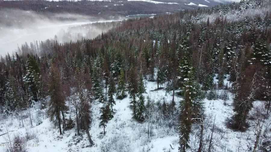 17881 Sterling Highway, Cooper Landing, AK 99572 - Image #3