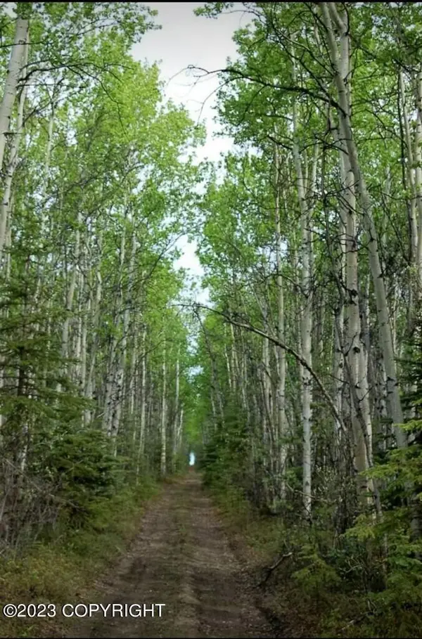 0000 No Road (near Rexana Rd), Clear, AK 99000