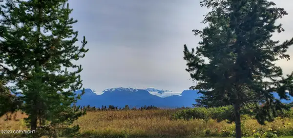 00 Basargin Road, Homer, AK 99603