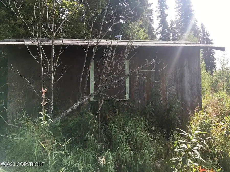 Tract F Otter Lake (no Road), Skwentna, AK 99667 - Image #3