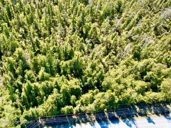 601 SE Fawn Drive, Coffman Cove, AK 99918